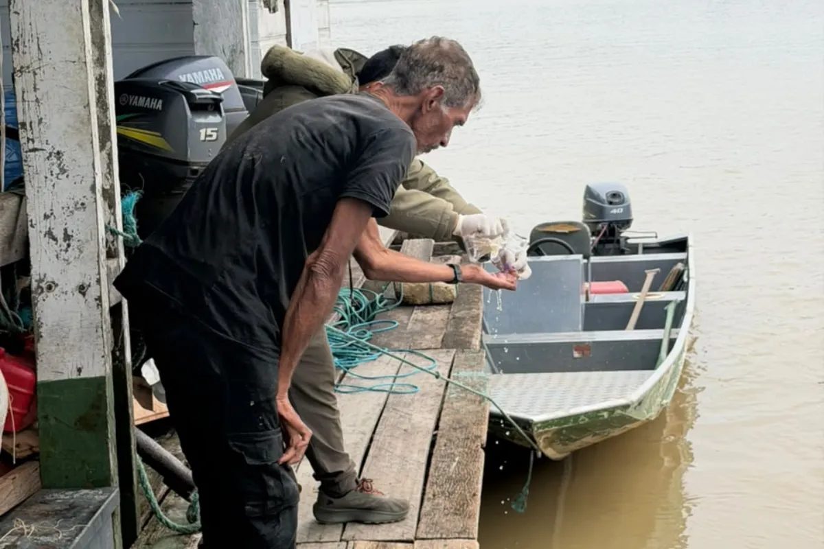 Idoso é encontrado após 25 dias desaparecido em floresta no Amazonas