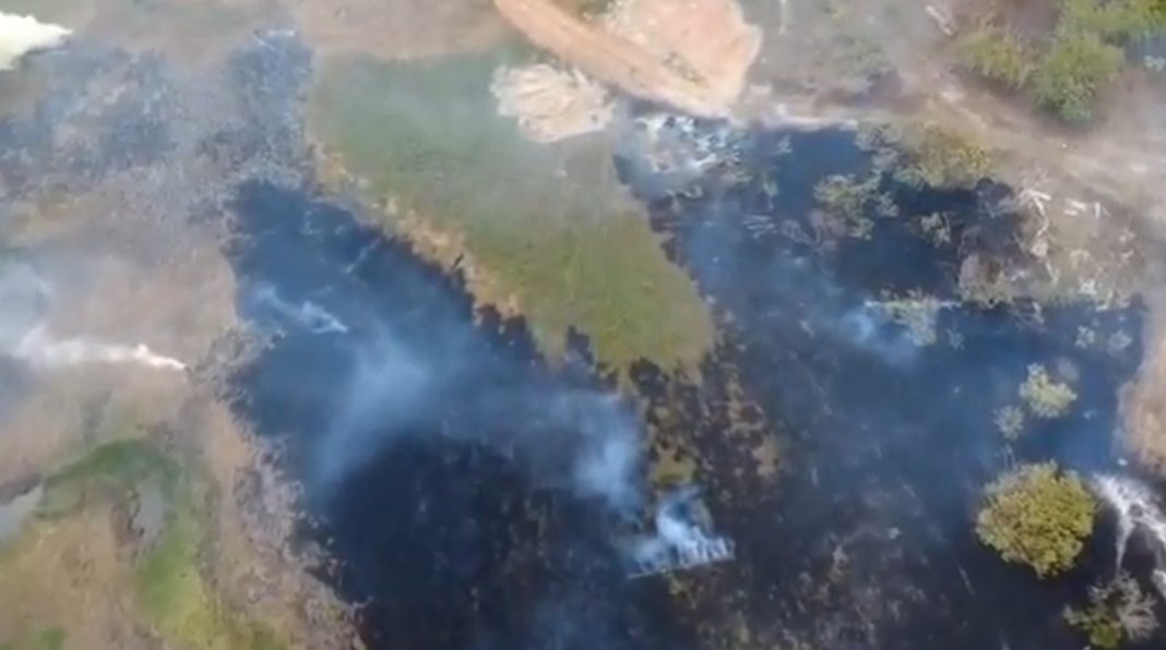 Ipaam aplica R$ 8,5 milhões em multas e embarga mais de 916 hectares na 13ª etapa da Operação Tamoiotatá 6